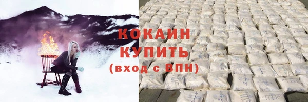 трава Аркадак