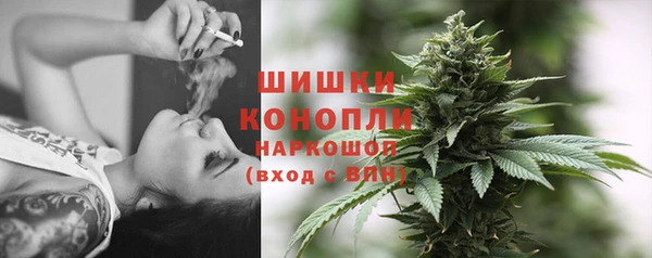 трава Аркадак