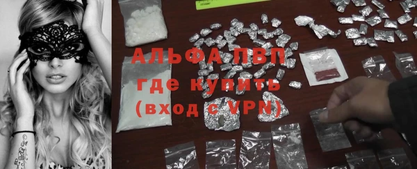 трава Аркадак