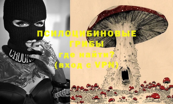 трава Аркадак